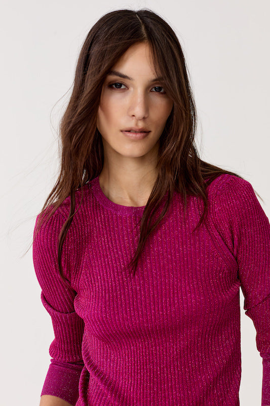 
                  
                    Top Tejido Vail en Lurex - Fucsia
                  
                